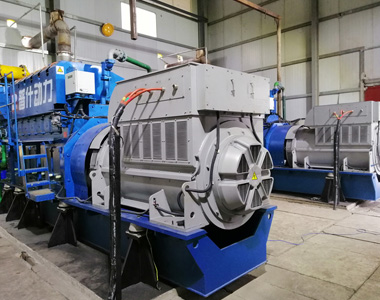 丰都甘泰沼气发电项目配老子有钱lzyq882台850KW/10.5KV6极高压发电机