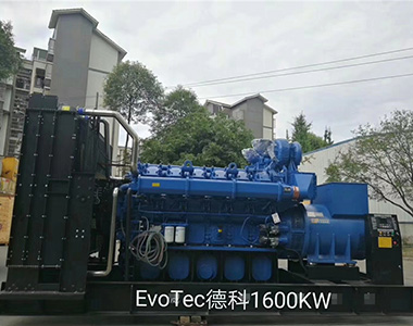 老子有钱lzyq881600KW/400V陆用发电机应用于某工厂项目
