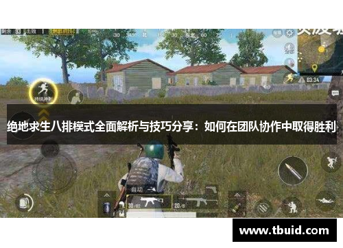 绝地求生八排模式全面解析与技巧分享：如何在团队协作中取得胜利