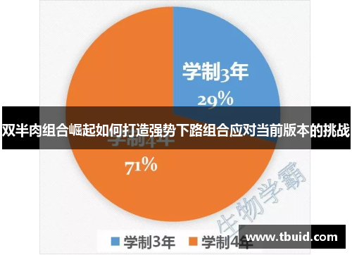 双半肉组合崛起如何打造强势下路组合应对当前版本的挑战