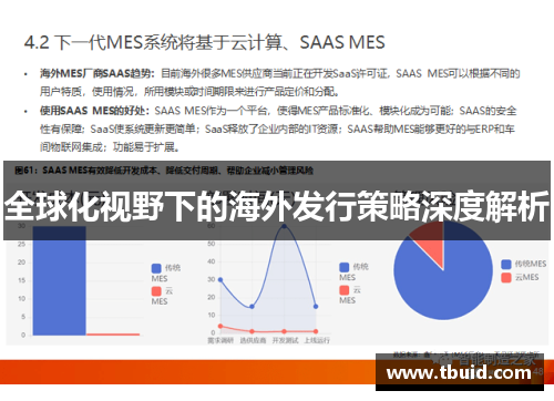 全球化视野下的海外发行策略深度解析