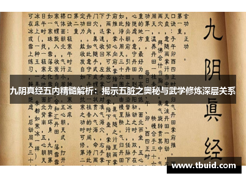 九阴真经五内精髓解析：揭示五脏之奥秘与武学修炼深层关系