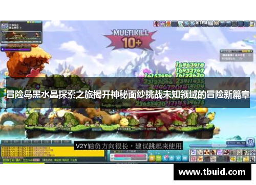 冒险岛黑水晶探索之旅揭开神秘面纱挑战未知领域的冒险新篇章