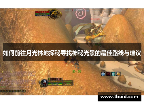 如何前往月光林地探秘寻找神秘光景的最佳路线与建议